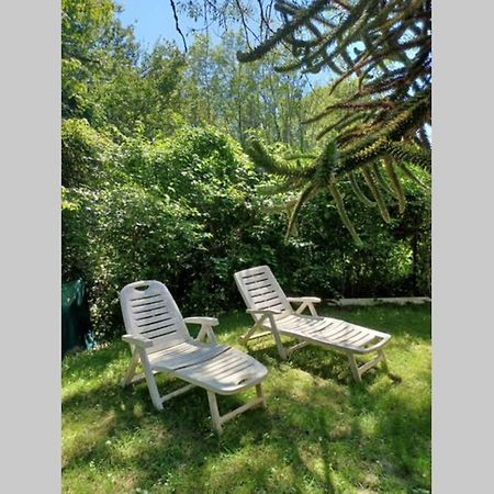 L'orée des bois , détente et calme . Mesigny Exterior foto