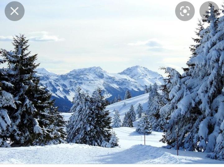 L'orée des bois , détente et calme . Mesigny Exterior foto