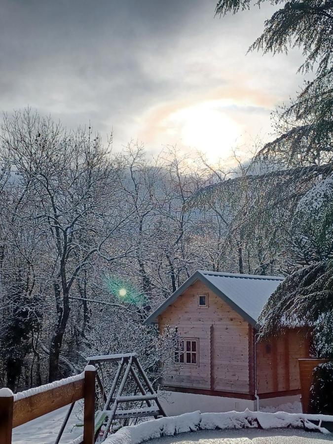 L'orée des bois , détente et calme . Mesigny Exterior foto