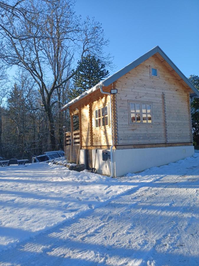 L'orée des bois , détente et calme . Mesigny Exterior foto